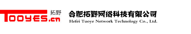 拓野網絡企業形象LOGO